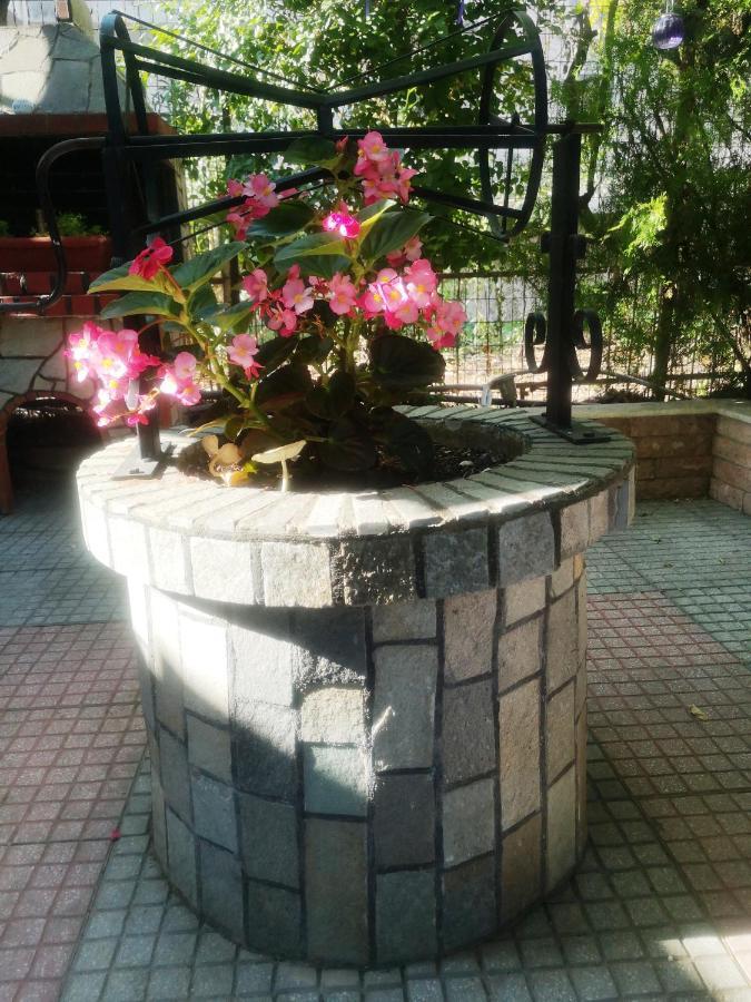 Blue Garden Rooms Paralia Katerinis Bagian luar foto