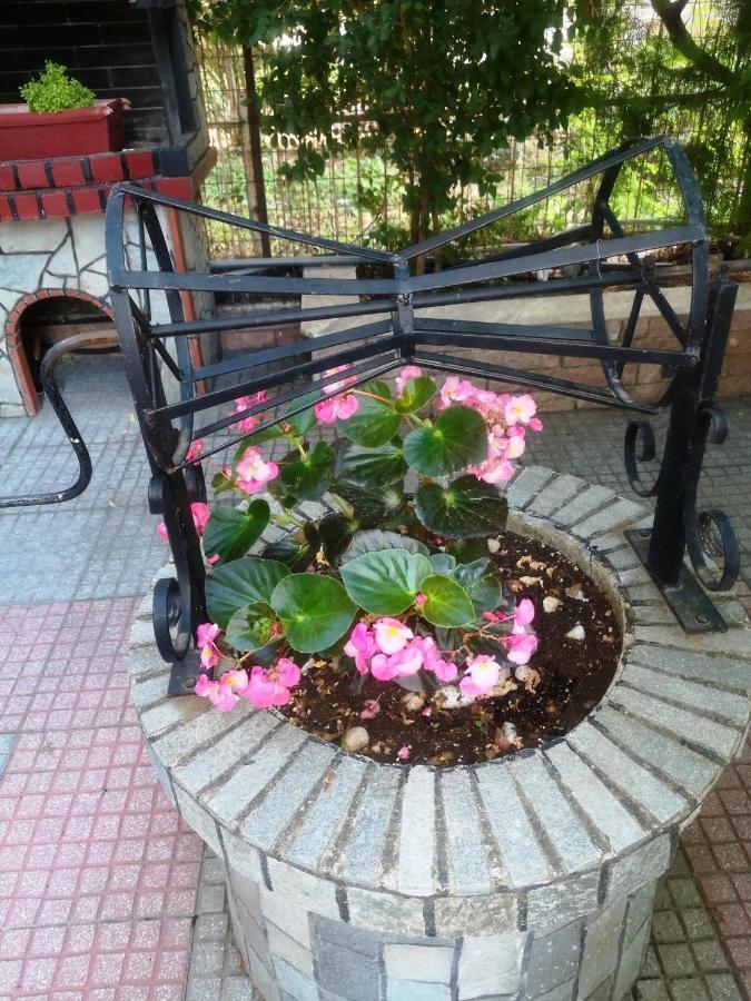 Blue Garden Rooms Paralia Katerinis Bagian luar foto