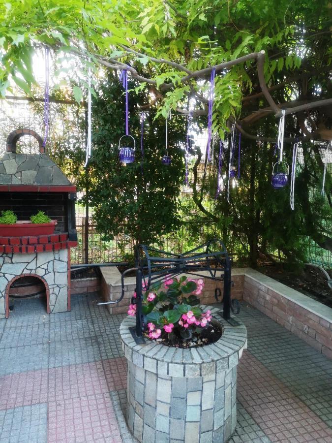 Blue Garden Rooms Paralia Katerinis Bagian luar foto